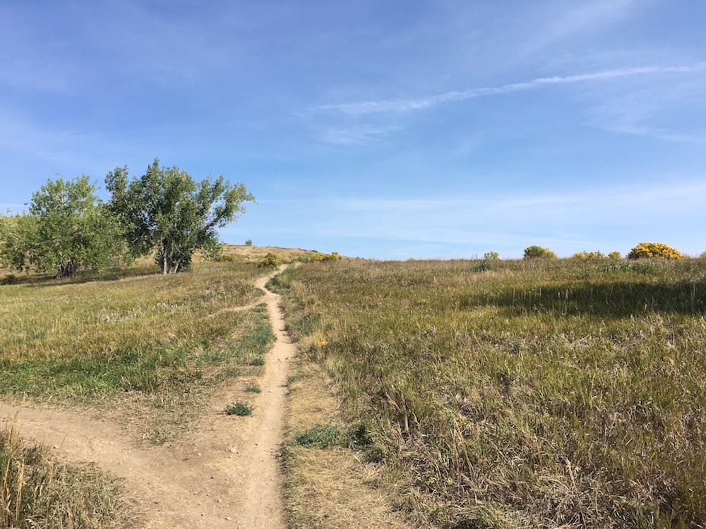 Narrow dirt trail winding uphill through golden prairie grass under a wide blue sky