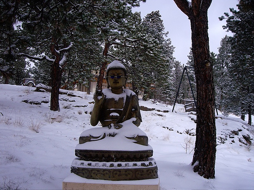 Cool Buddha