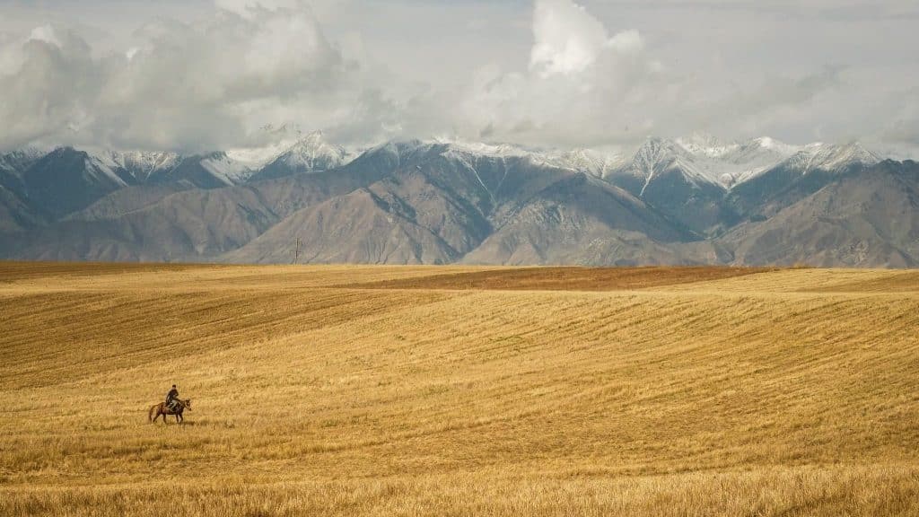 Lone rider on horseback crossing a golden field beneath snow-capped mountains