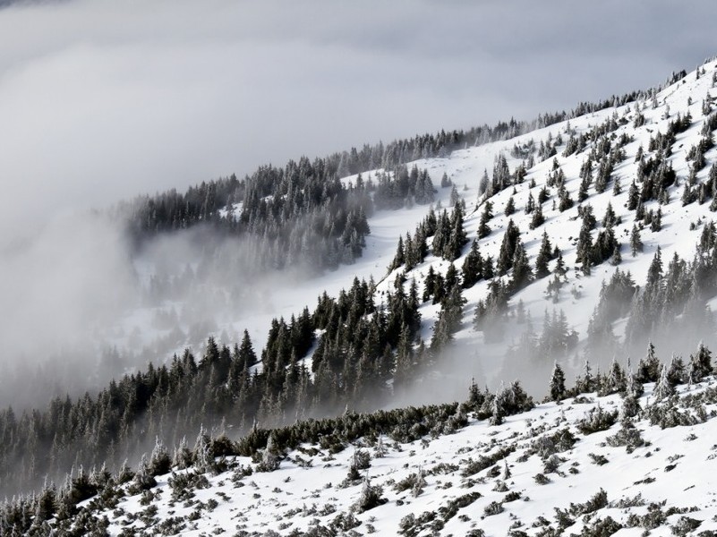 The Cleansing Power of Breath: The Nadi Shodhana Technique