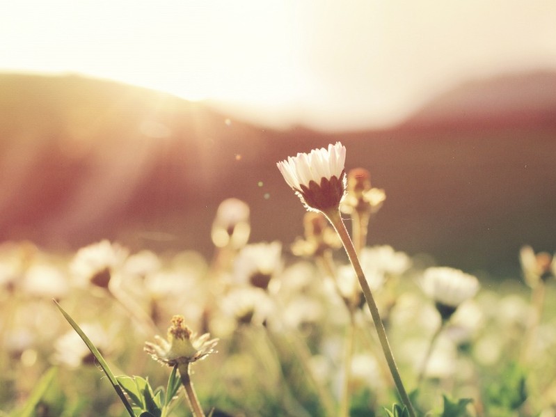 Top 30 Most Influential People in Personal Development