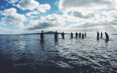 You Are Ready Now, Really