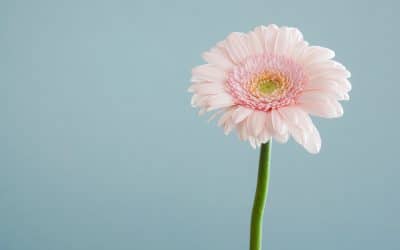 Think Less, Do Better: The Power Of A Clear Mind