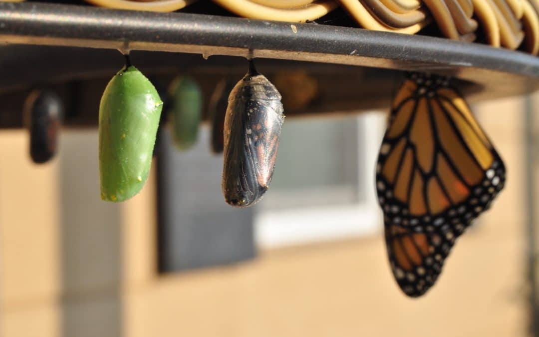 Here’s Why Making A Radical Career Change Is So Darn Tough