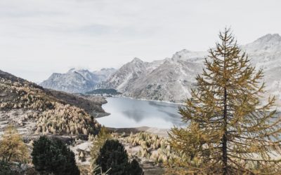 Beyond The Pareto Principle: The Simple Way To Get More Out Of Life