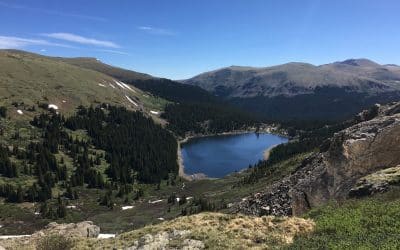 My 2018 Year In Review