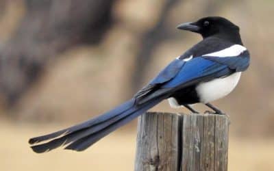 Do The Right Thing Even If Its Inconvenient