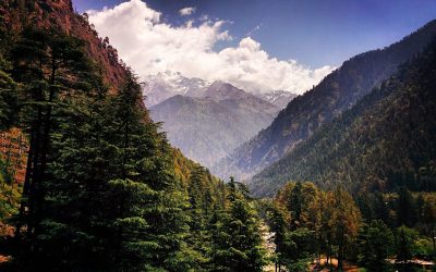 Who’s the star of your Hero’s Journey?