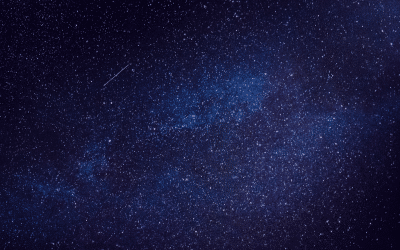 The best investment money can buy