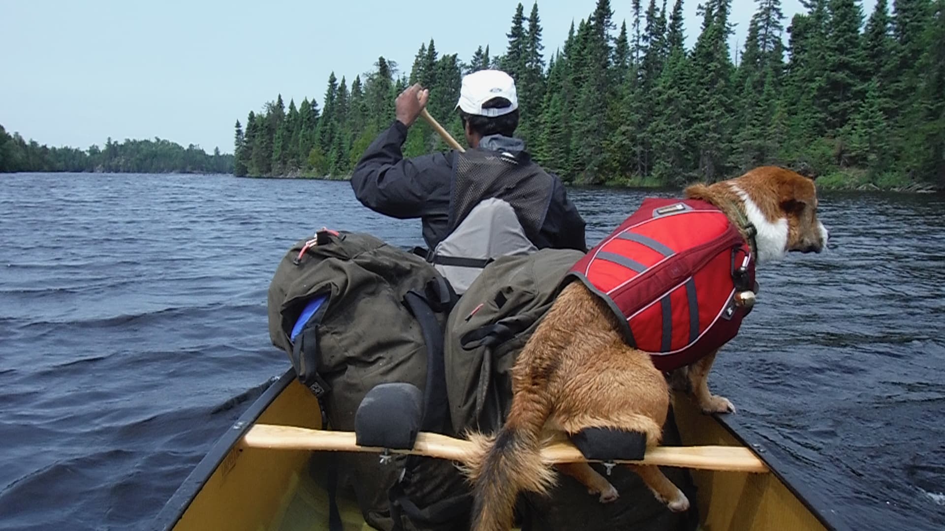 Minnesota Boundary Waters canoe trip with dog