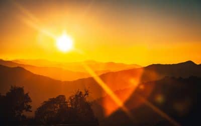 Beyond Confusion: A Better Way to Know What to Do