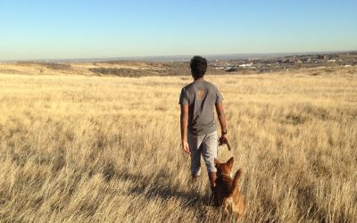 The Monday Morning Haircut: On Guilt, Freedom, and Working Differently