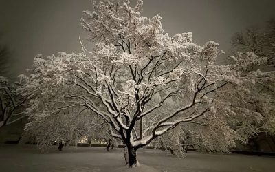 Taking Another Sabbatical