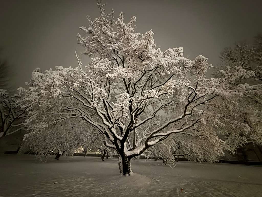 Taking Another Sabbatical